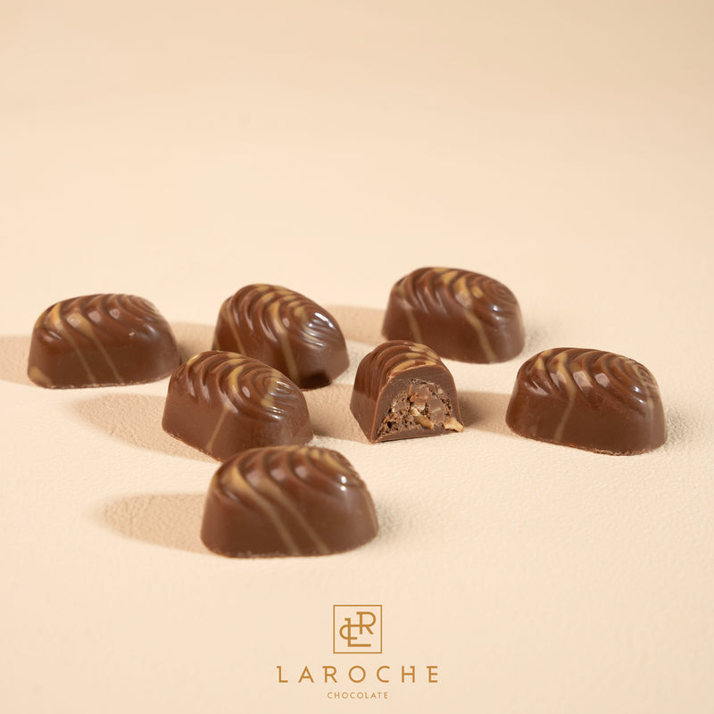 Chocolate jundoia hazulnut
