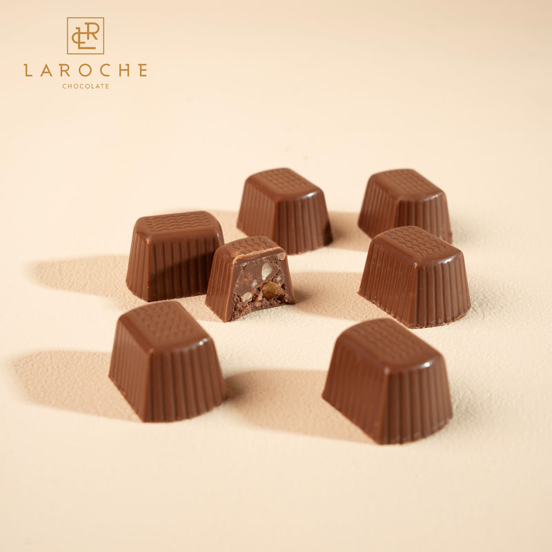 chocolate wallnuts