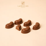 chocolate judoia feuntinne