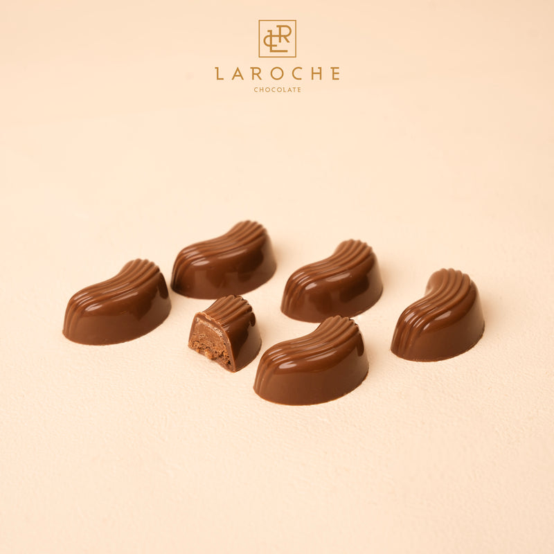 chocolate judoia feuntinne